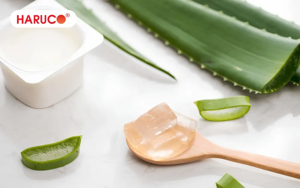 Sữa chua nha đam có hàm lượng calo tương đối thấp có thể hỗ trợ giảm cân