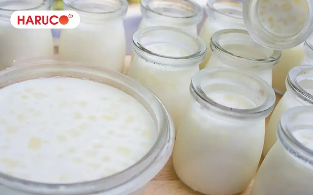 Thành quả sữa chua nha đam thơm ngon khi thực hiện các bước theo hướng dẫn