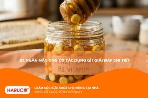 B1 ngâm mật ong có tác dụng gì? Công dụng, cách sử dụng và lưu ý cần biết
