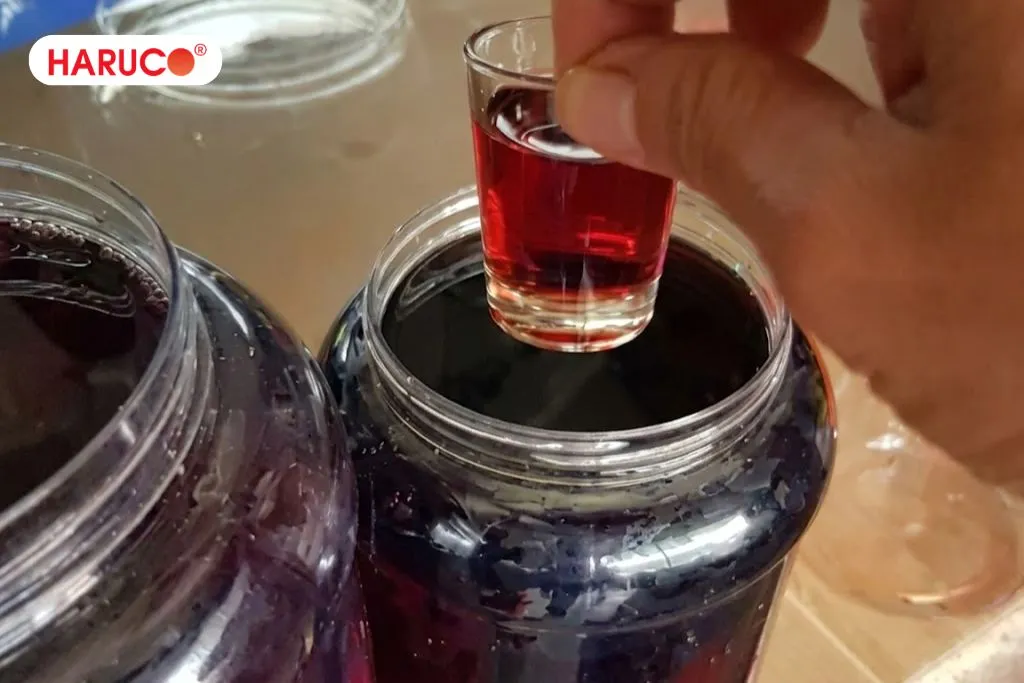 Hướng dẫn cách ngâm rượu bìm bịp