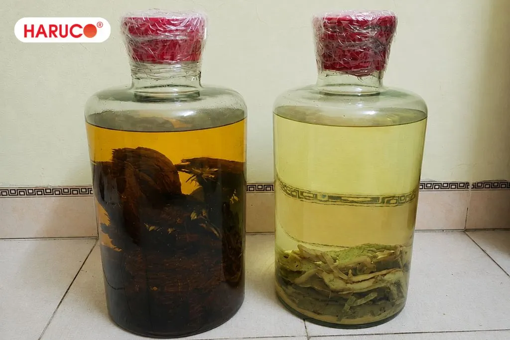 Những lưu ý cần nhớ khi dùng rượu bìm bịp