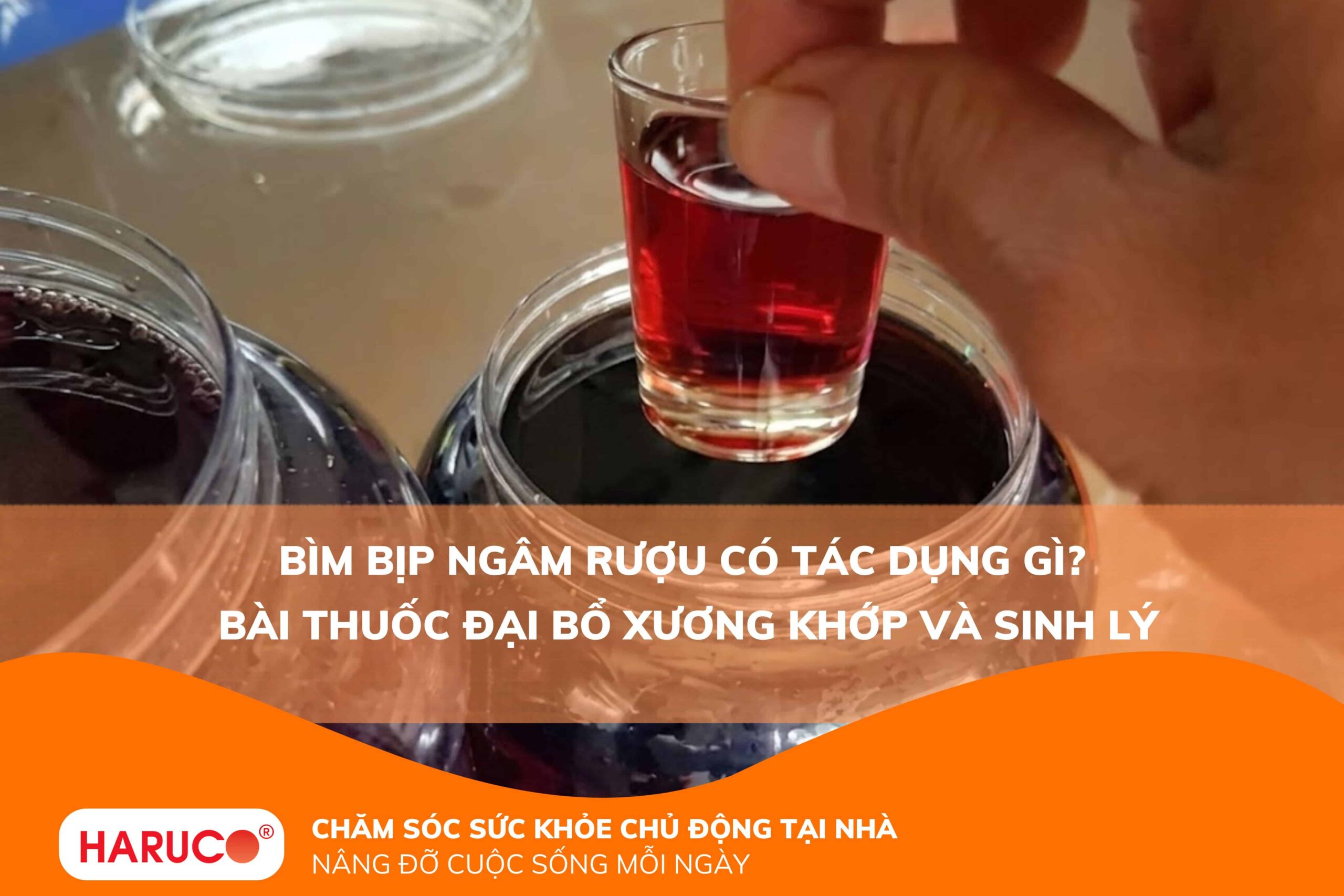Bìm bịp ngâm rượu có tác dụng gì? Bài thuốc đại bổ xương khớp và sinh lý