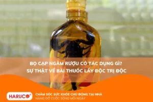 Bọ cạp ngâm rượu có tác dụng gì