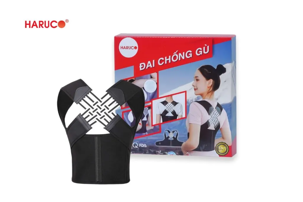 Các sản phẩm công thái học hỗ trợ tư thế hiệu quả