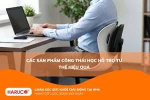 Các sản phẩm công thái học hỗ trợ tư thế hiệu quả
