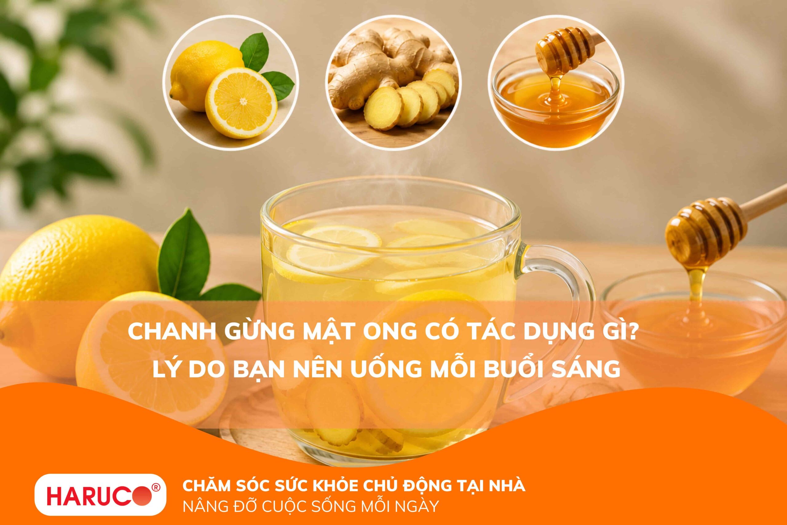 Chanh gừng mật ong có tác dụng gì? Lý do bạn nên uống mỗi buổi sáng