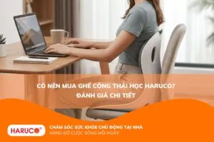 Có nên mua ghế công thái học Haruco? Đánh giá chi tiết