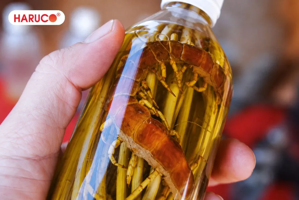 Con rết ngâm rượu có tác dụng gì?