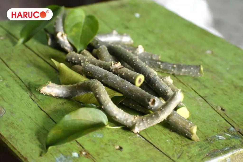 Dây thần thông là gì?