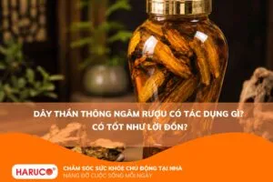 Dây thần thông ngâm rượu có tác dụng gì