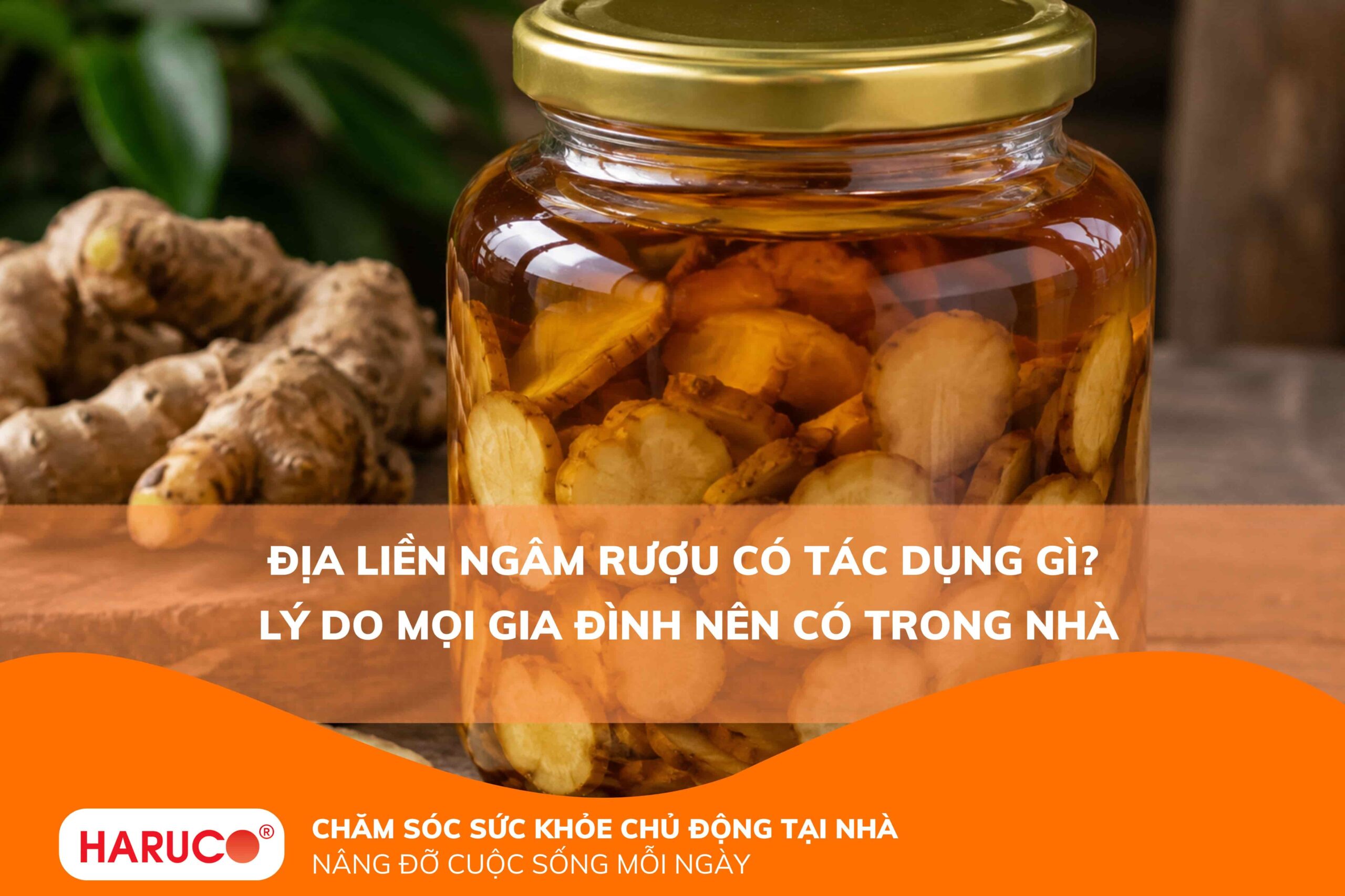 Địa liền ngâm rượu có tác dụng gì? Lý do mọi gia đình nên có trong nhà