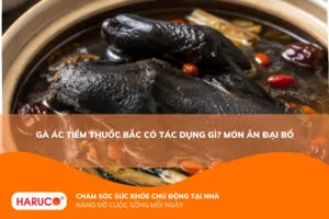 Gà ác tiềm thuốc bắc có tác dụng gì? Món ăn đại bổ thơm ngon, dễ nấu