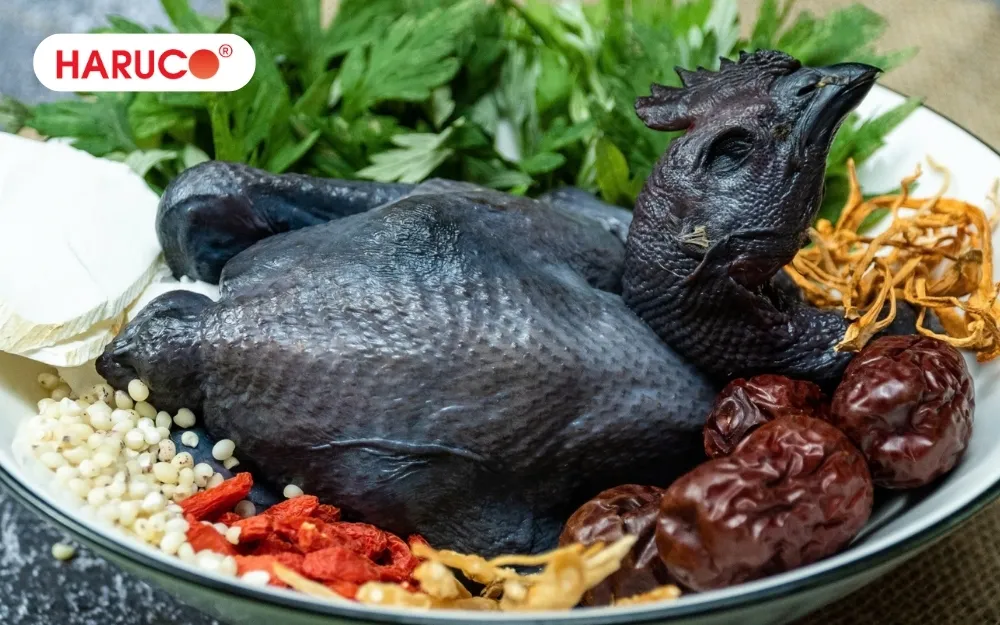 Khi sử dụng gà ác tiềm thuốc bắc, cần ưu tiên nguyên liệu tươi, sạch và có nguồn gốc rõ ràng
