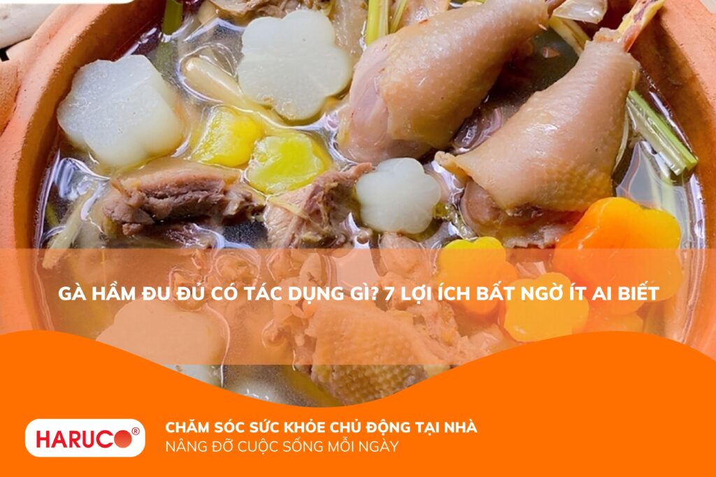 Gà hầm đu đủ có tác dụng gì? 7 lợi ích bất ngờ mà ít người biết đến