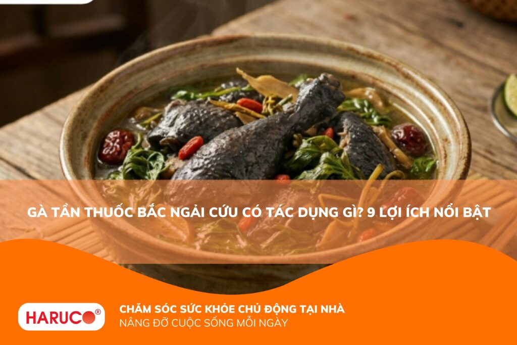 Gà tần thuốc bắc ngải cứu có tác dụng gì? Công dụng và cách ăn đúng
