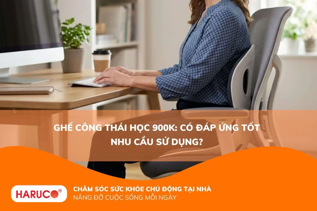Ghế công thái học 900K: Có đáp ứng tốt nhu cầu sử dụng?