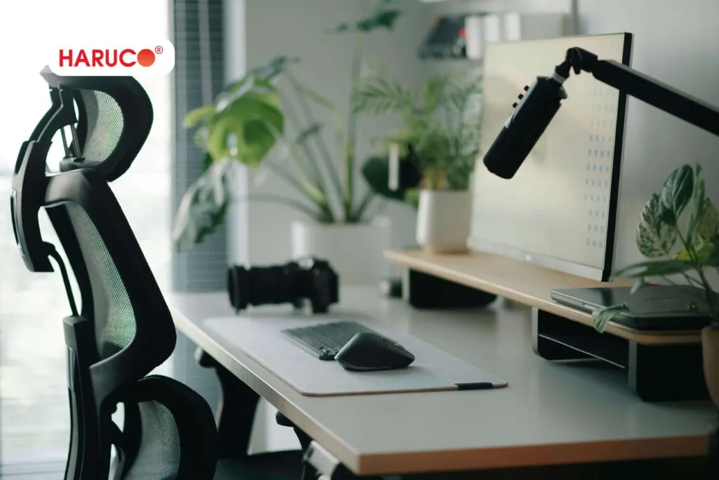 Sai lầm khiến nhiều người mua ghế công thái học 900K nhanh hỏng