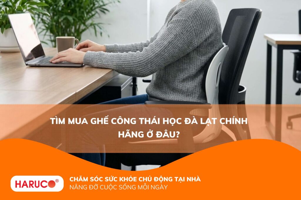 Tìm mua ghế công thái học Đà Lạt chính hãng ở đâu?