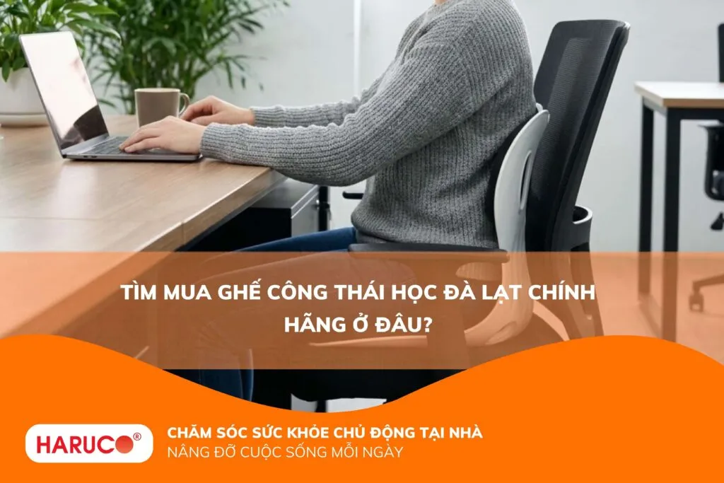 Tìm mua ghế công thái học Đà Lạt chính hãng ở đâu?