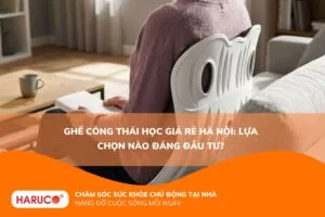 Ghế công thái học giá rẻ Hà Nội: Lựa chọn nào đáng đầu tư?