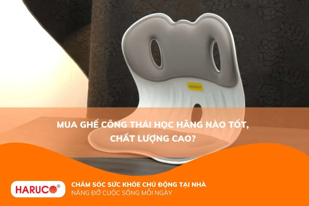 Mua ghế công thái học hãng nào tốt, chất lượng cao?
