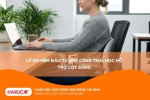 Lý do nên đầu tư ghế công thái học hỗ trợ cột sống?