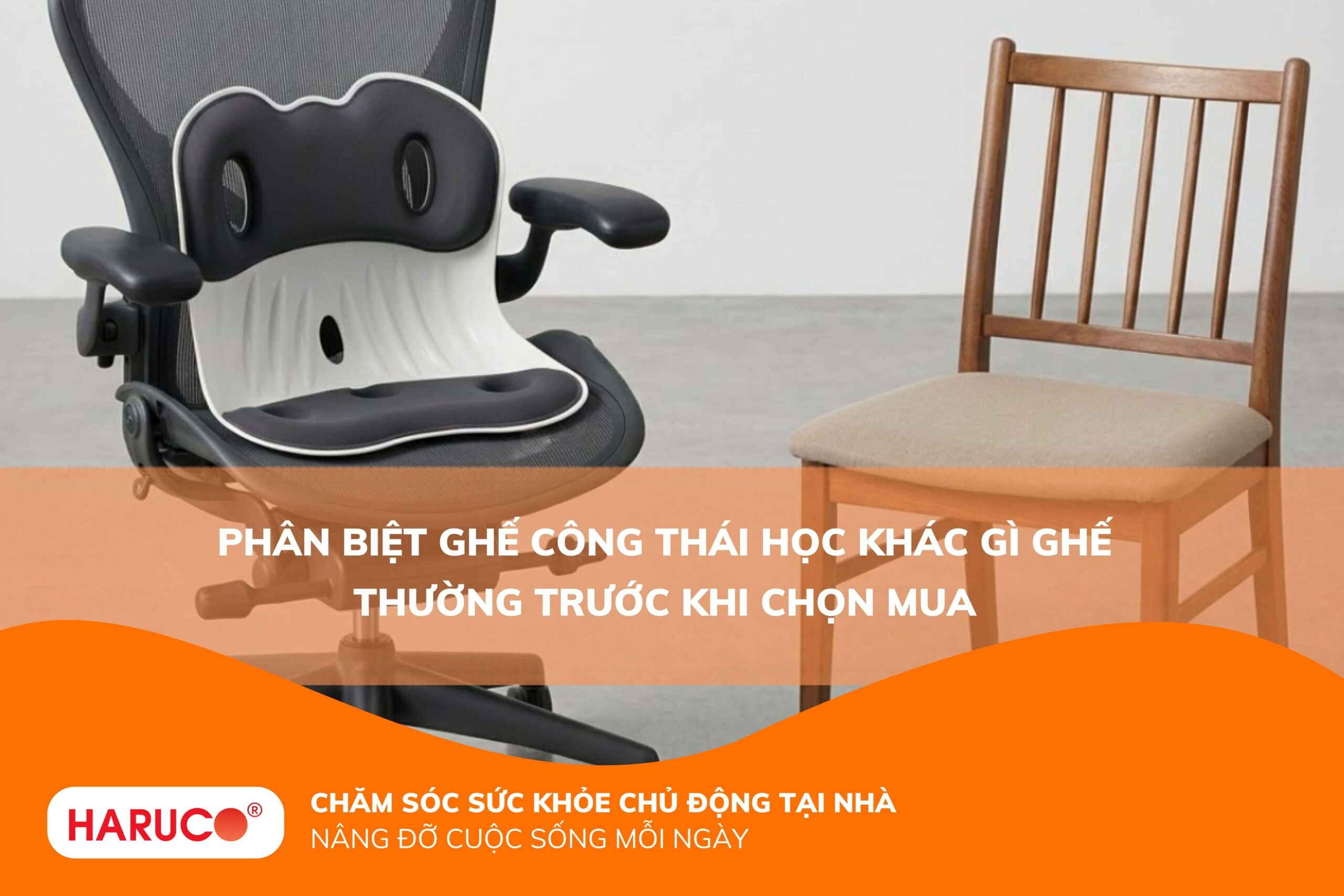 Phân biệt ghế công thái học khác gì ghế thường trước khi chọn mua