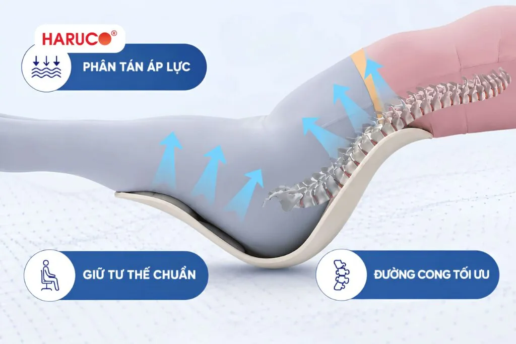 Nên chọn ghế công thái học nguyên chiếc hay ghế tựa lưng?