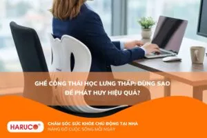 Ghế công thái học lưng thấp: Dùng sao để phát huy hiệu quả?