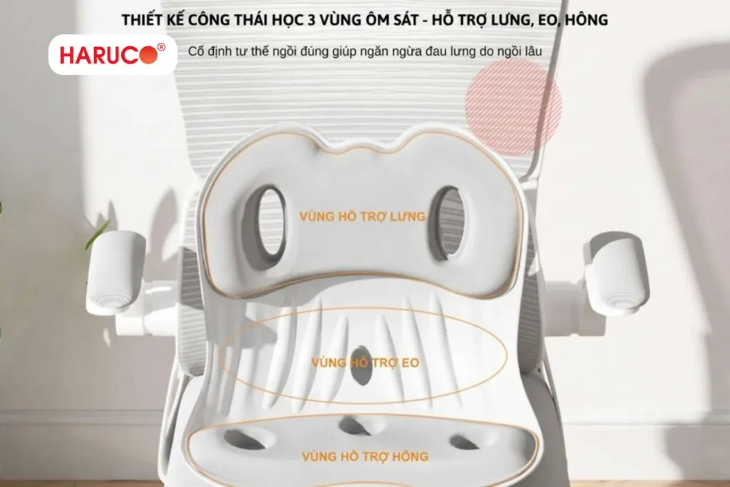Lợi ích khi sử dụng ghế công thái học ngồi bệt