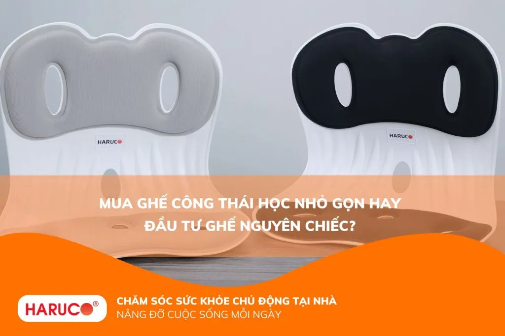 Mua ghế công thái học nhỏ gọn hay đầu tư ghế nguyên chiếc?