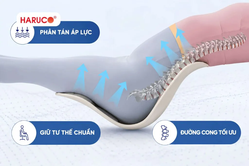 Ghế nhựa công thái học hỗ trợ cơ thể như thế nào?