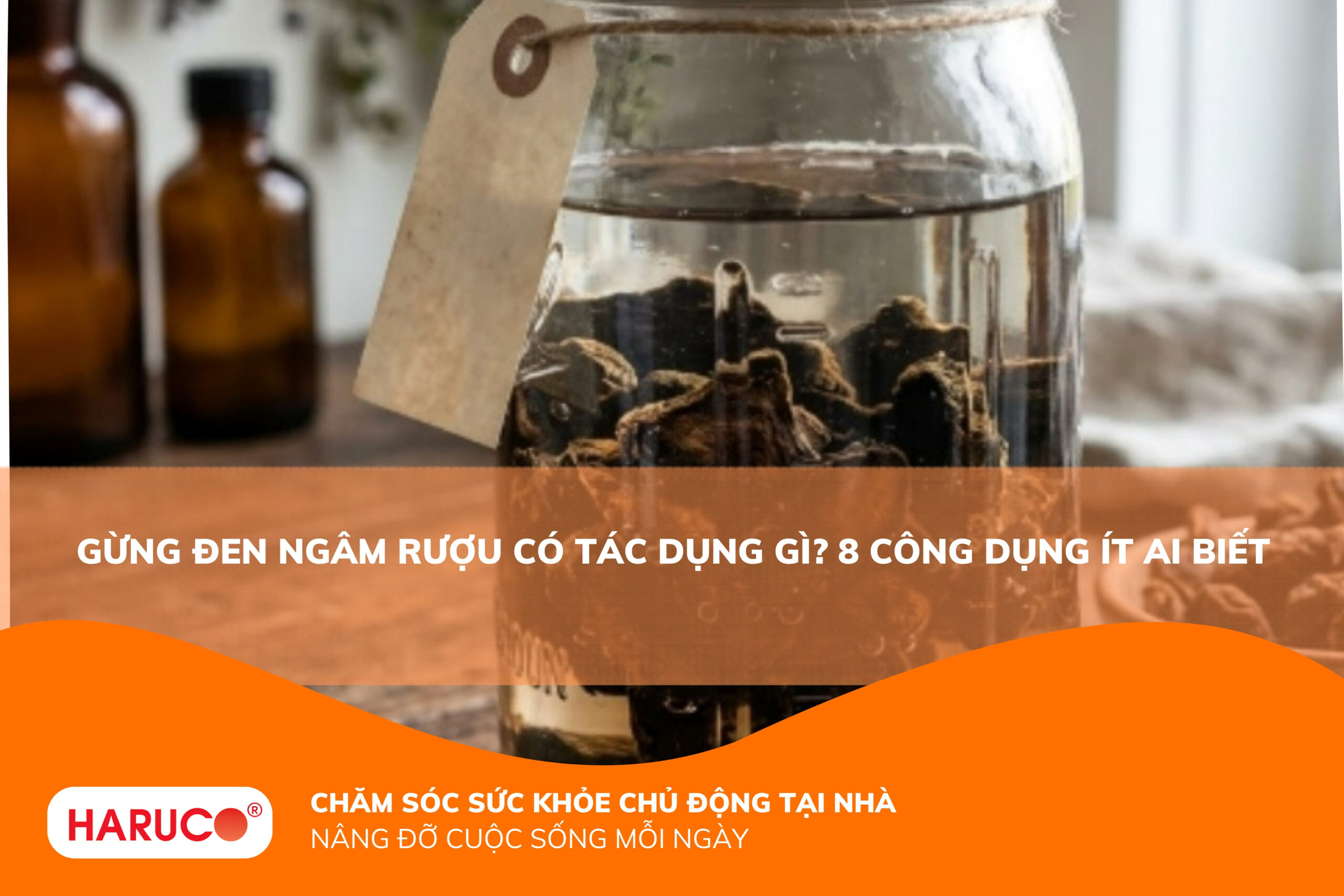 Gừng đen ngâm rượu có tác dụng gì và lưu ý khi sử dụng