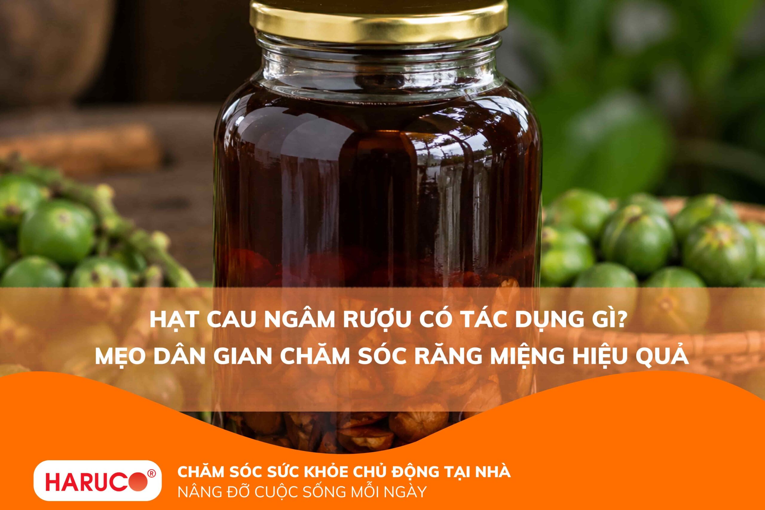 Hạt cau ngâm rượu có tác dụng gì? Mẹo dân gian chăm sóc răng miệng hiệu quả