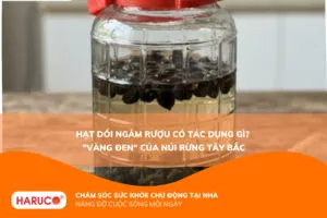 Hạt dổi ngâm rượu có tác dụng gì? Công dụng, cách ngâm và lưu ý