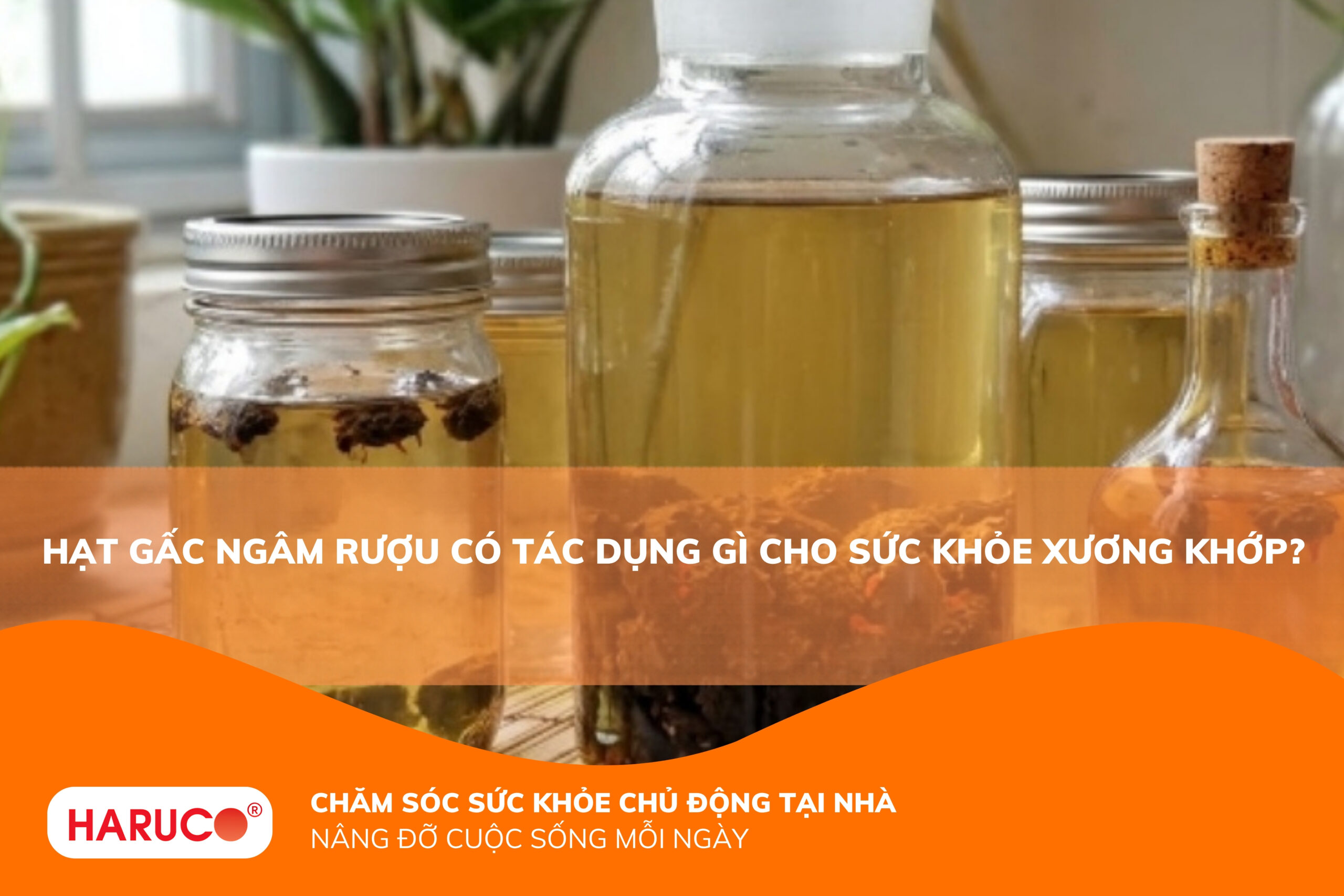 Hạt gấc ngâm rượu có tác dụng gì? Bài thuốc trị bệnh xương khớp hiệu quả