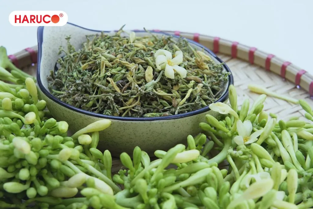Hoa đu đủ đực là gì?