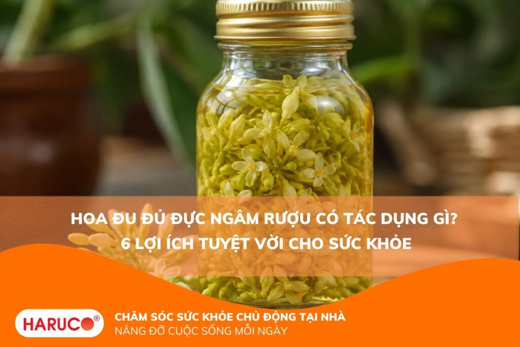 Hoa đu đủ đực ngâm rượu có tác dụng gì? 6 lợi ích tuyệt vời cho sức khỏe