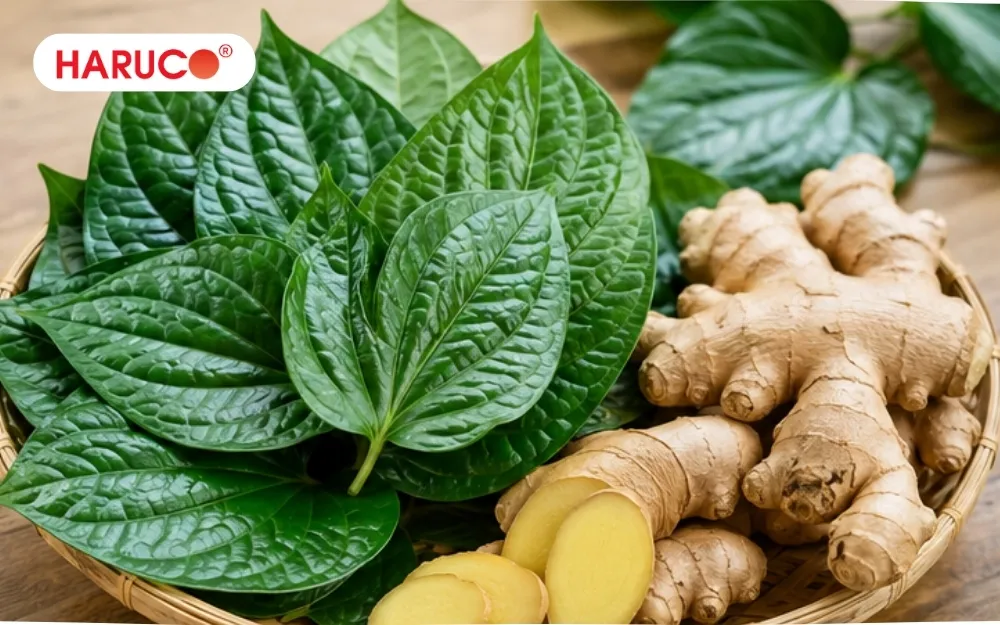 Ngừng sử dụng nếu xuất hiện kích ứng hoặc khó chịu