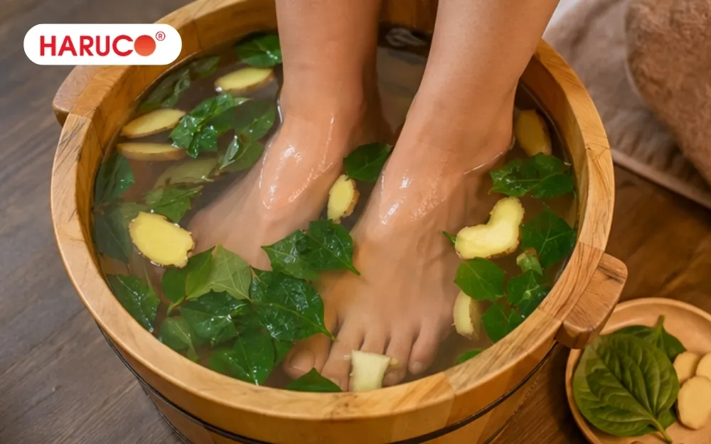 Ngâm chân lá lốt và gừng hỗ trợ làm ấm cơ thể