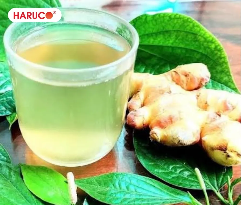 Nấu nước lá lốt và gừng để uống