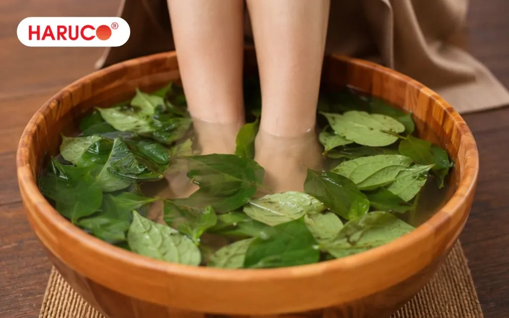 Nấu nước lá trầu không với muối để ngâm chân