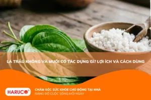 Lá trầu không và muối có tác dụng gì? Công dụng, cách sử dụng và lưu ý