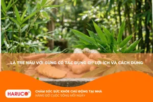 Lá tre nấu với gừng có tác dụng gì? 8 công dụng nổi bật, cách nấu và lưu ý