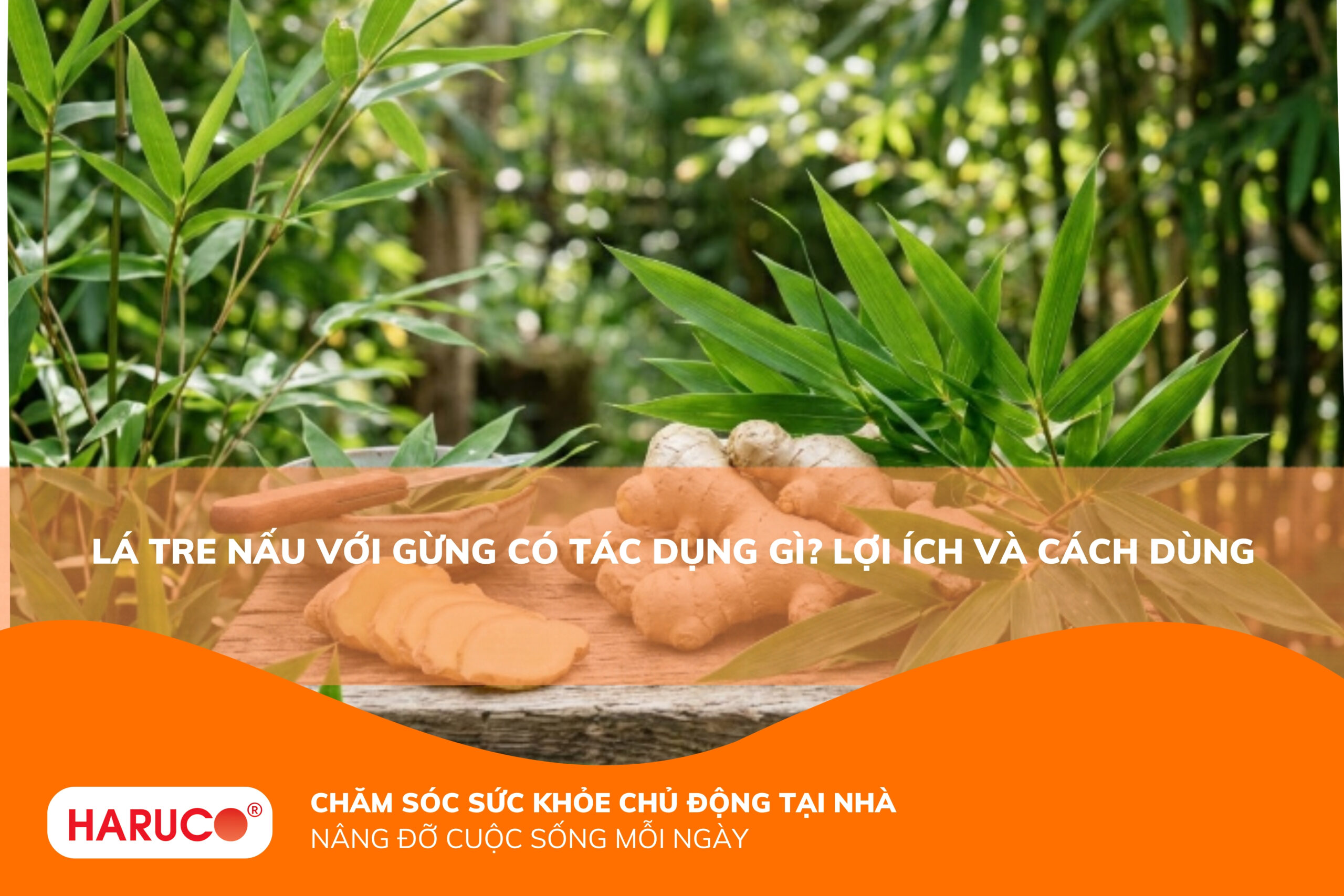 Lá tre nấu với gừng có tác dụng gì? 8 công dụng nổi bật, cách nấu và lưu ý