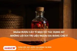 Ngâm rượu cây tí ngọ có tác dụng gì