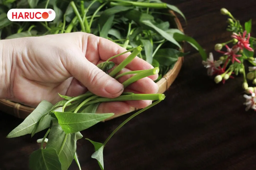 Top những loại rau không tốt cho sức khỏe