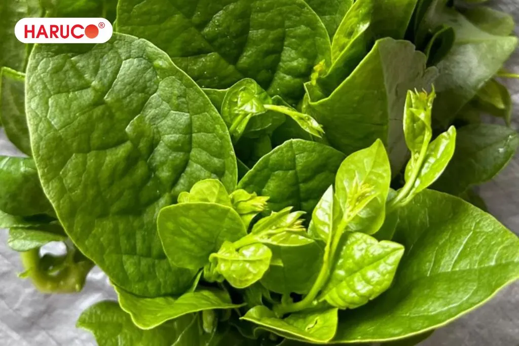 Top những loại rau không tốt cho sức khỏe