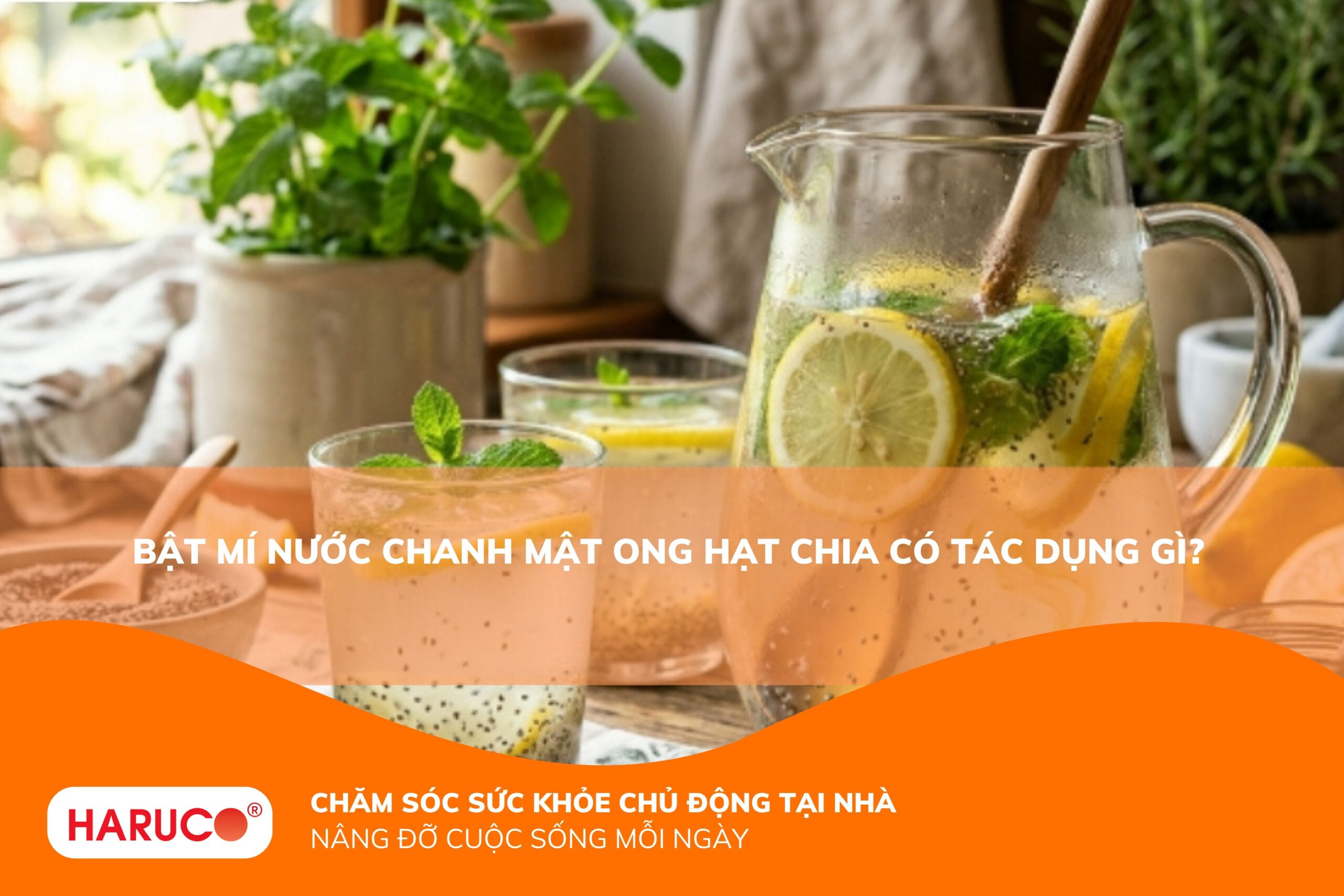 Bật mí nước chanh mật ong hạt chia có tác dụng gì? 8 Lợi ích bất ngờ và cách uống đúng