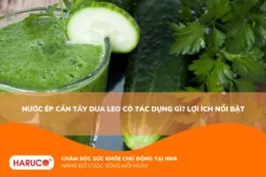 Nước ép cần tây dưa leo có tác dụng gì? Giải đáp từ chuyên gia dinh dưỡng